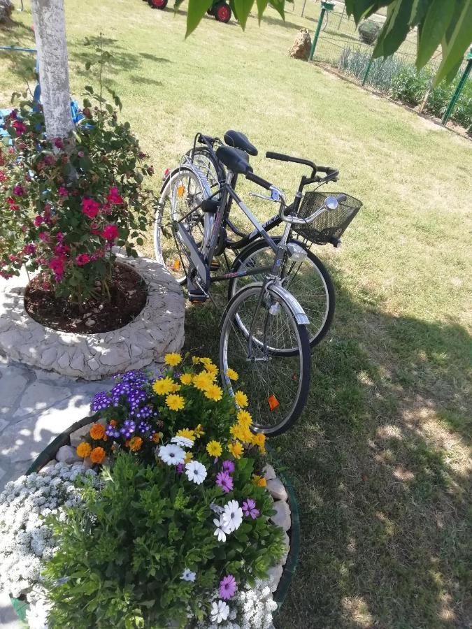 Nikini Dvori Βίλα Gradac  Εξωτερικό φωτογραφία