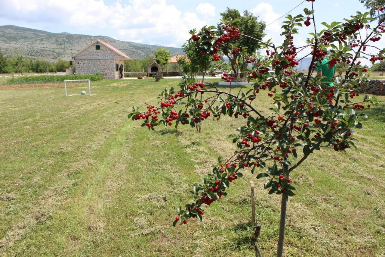 Nikini Dvori Βίλα Gradac  Εξωτερικό φωτογραφία